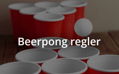 Beer Pong regler