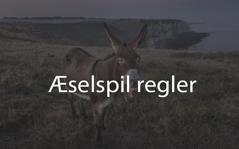 Find De Vigtigste selspil Regler Her Dansk7kabale dk