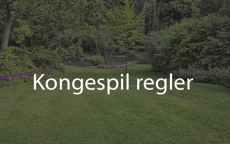 Her Finder Du Alle Kongespil Regler Samlet Dansk7kabale dk